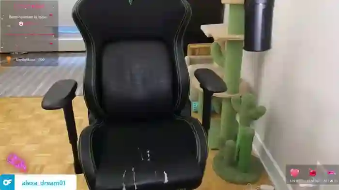 alexa_dream