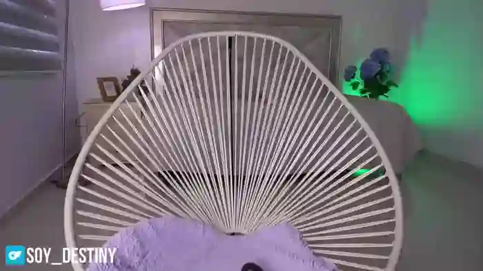 soy_destiny