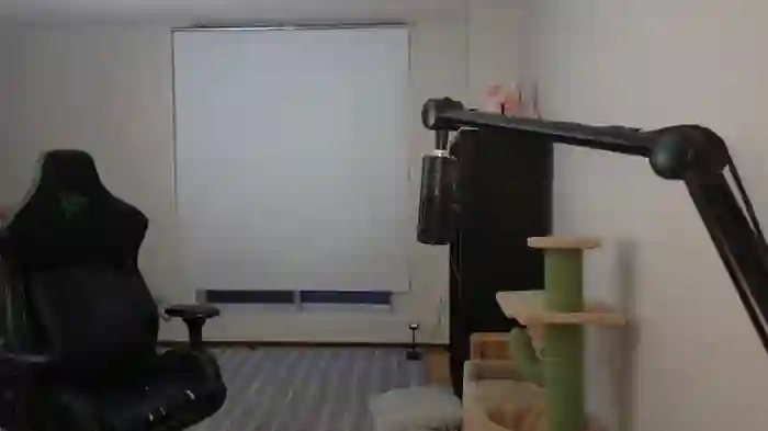 alexa_dream