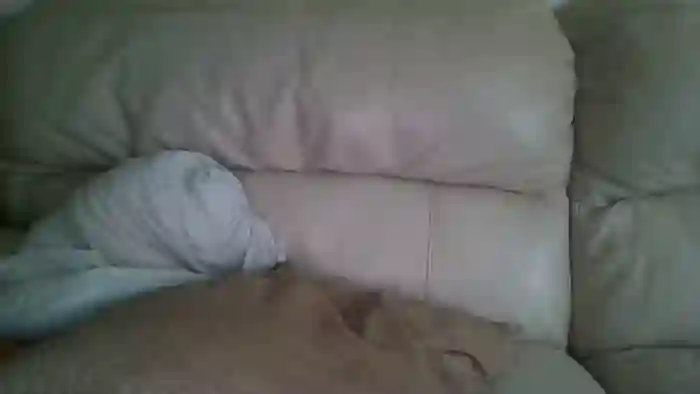 bigdicktrannynicole