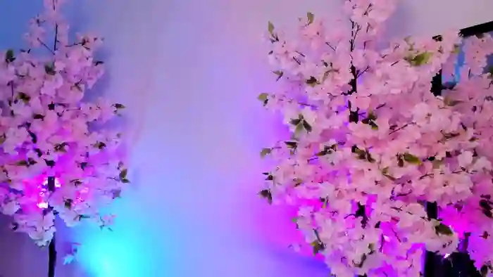 jessiccaburns