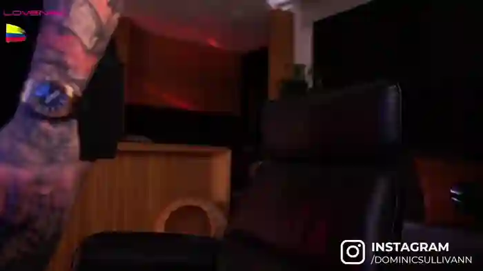dominic_sullivan1