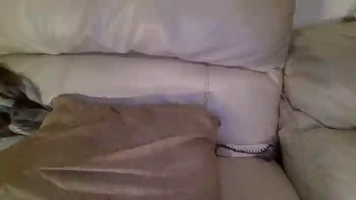 bigdicktrannynicole