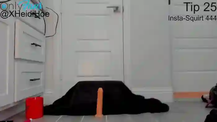 heidiandfriends