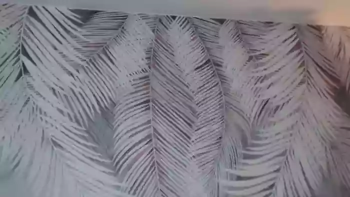 alexia-cage