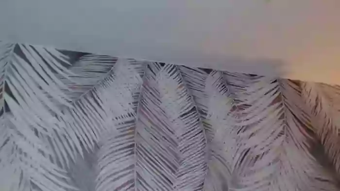 alexia-cage