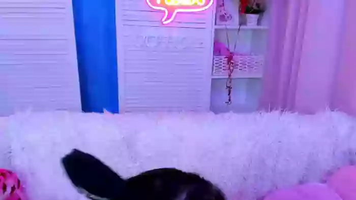 angel-vi
