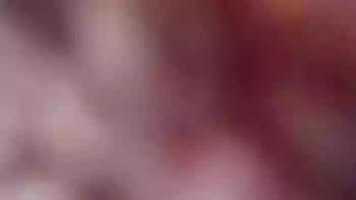 Bunni_