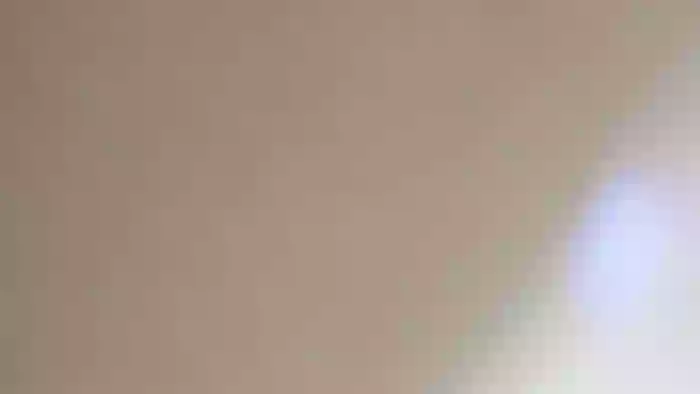 Bunni_