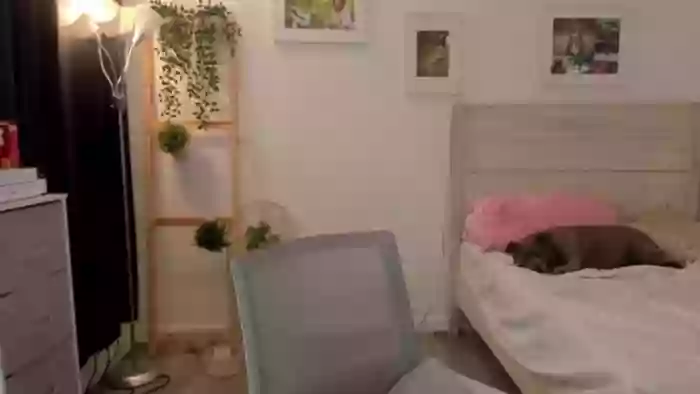 Bunni_