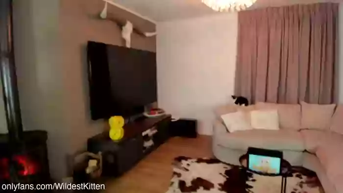 WildestKitten