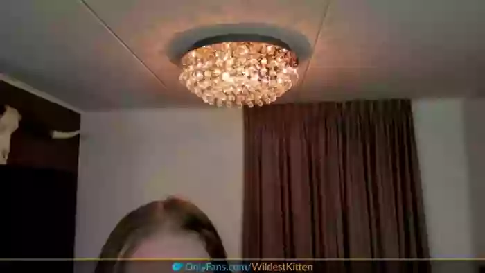 WildestKitten