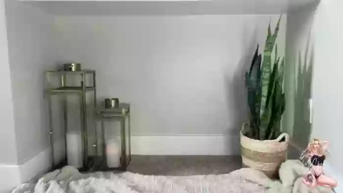 MFCCamModel