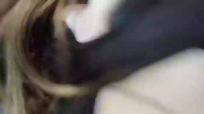 PokeAPuss