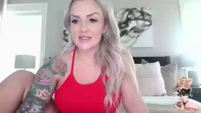 MFCCamModel