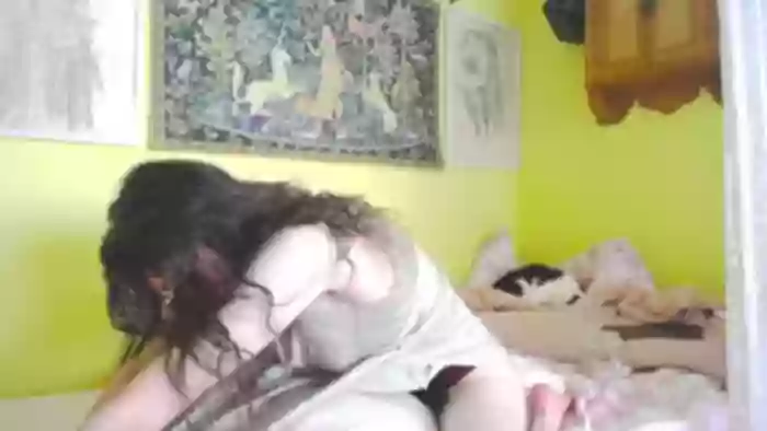 viola__