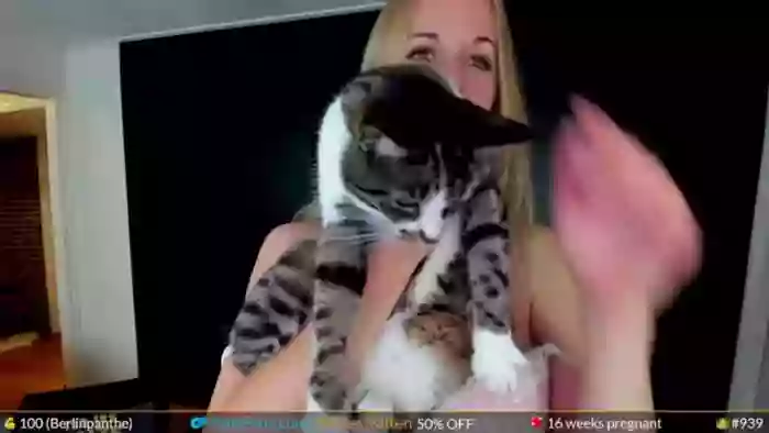 WildestKitten