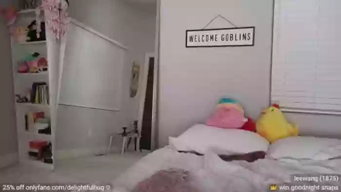 DelightfulHug