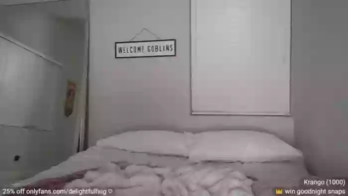 DelightfulHug