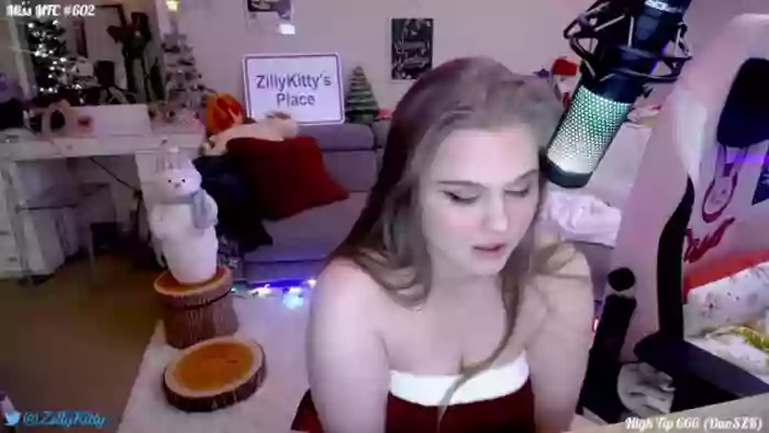 ZillyKitty