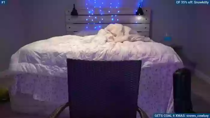 Snowkitty