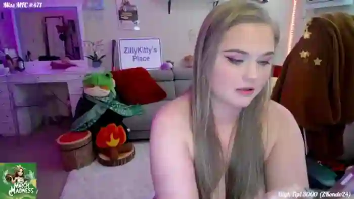 ZillyKitty