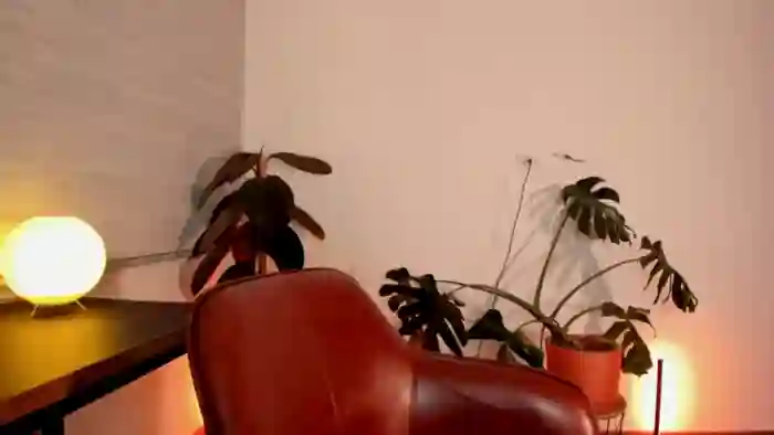 Lindsoft