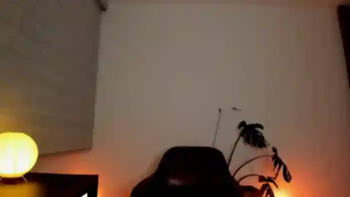 Lindsoft