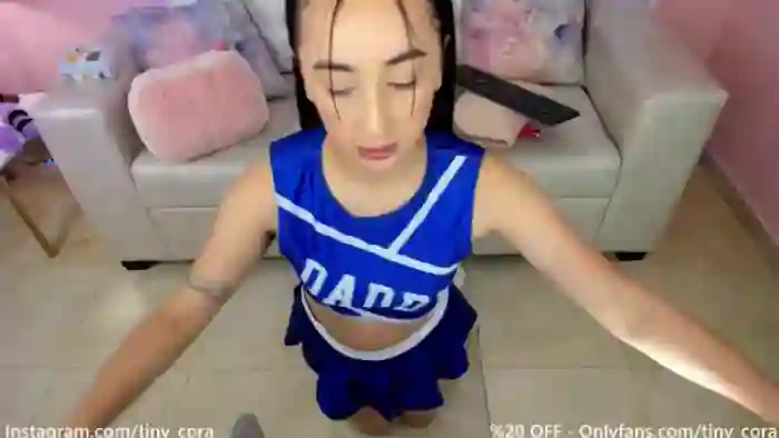 Tiny_Cora
