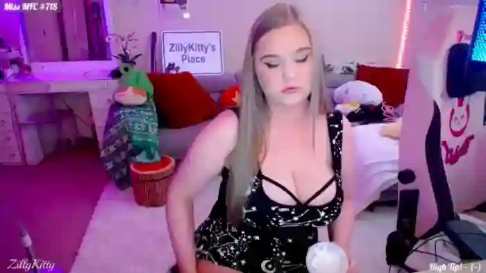 ZillyKitty