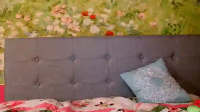 CashmereFoxxx