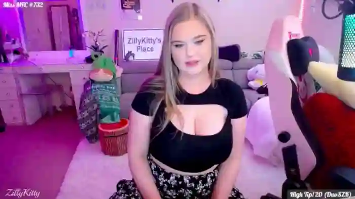 ZillyKitty