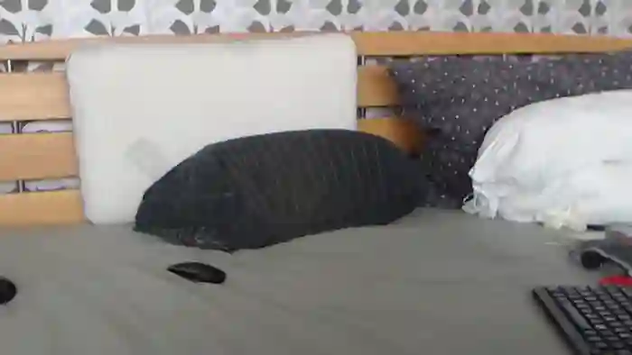 Kelywild