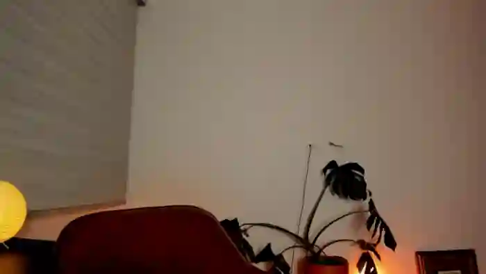 Lindsoft