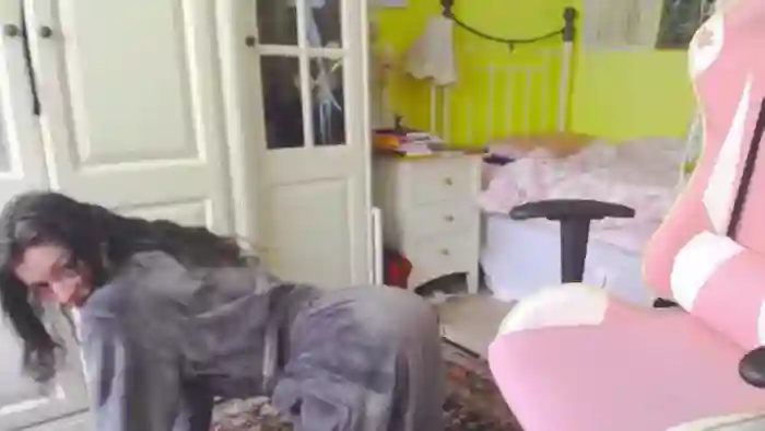 Viola__