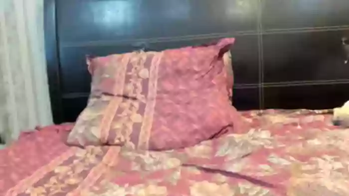 Ultrachick