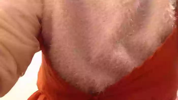 oxoSATOMIoxo