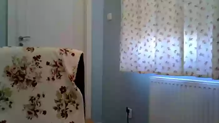 motylecczek_