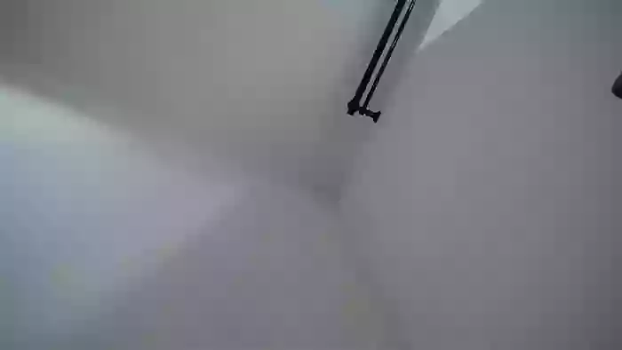 Polmi_