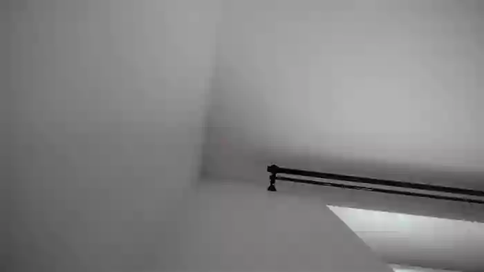 Polmi_