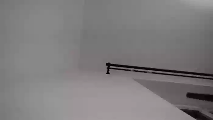 Polmi_