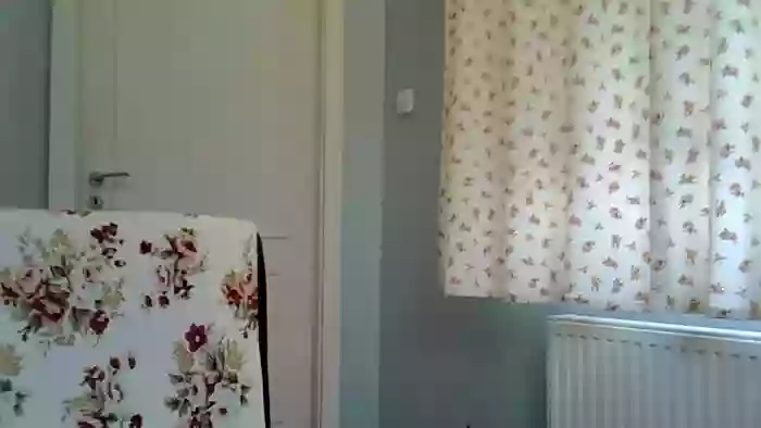 motylecczek_