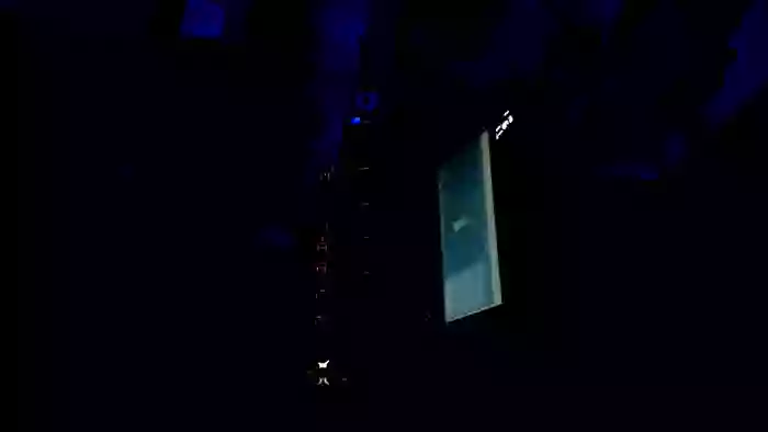FuckYouBitch_