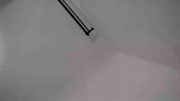 Polmi_