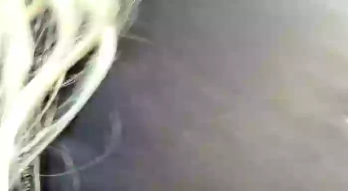 _NITA__