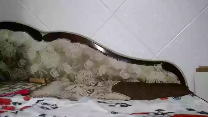 mandyhott22_