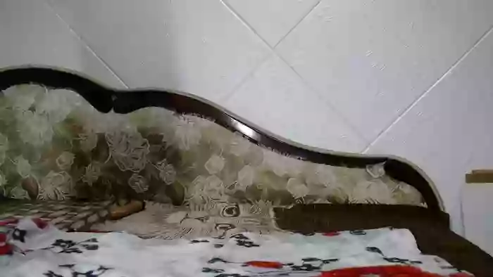mandyhott22_