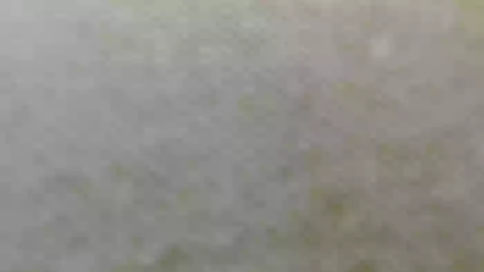 PIEPRZYCmiSIEchce_