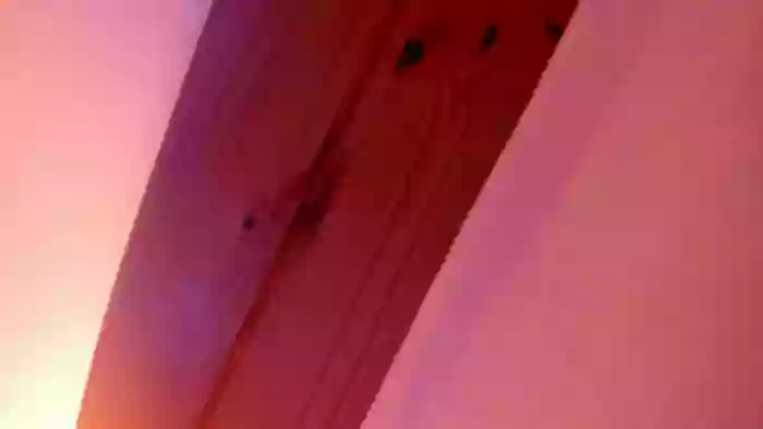 vanillaisforicecram_