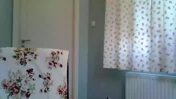 motylecczek_